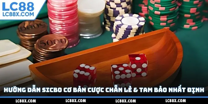 Hướng dẫn sicbo cơ bản cược chẵn lẻ & tam bảo nhất định
